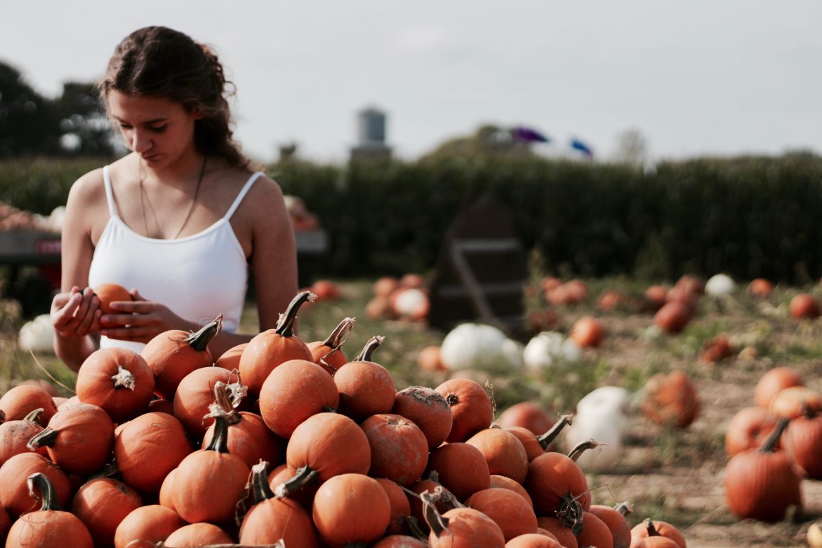 Get Into The Fall Spirit: 5 Activities to Do This Season