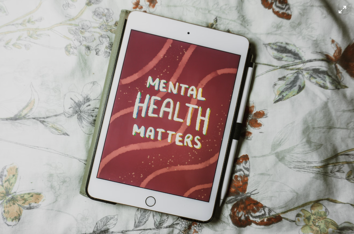 The Vital Role of Mental Health in Our Lives