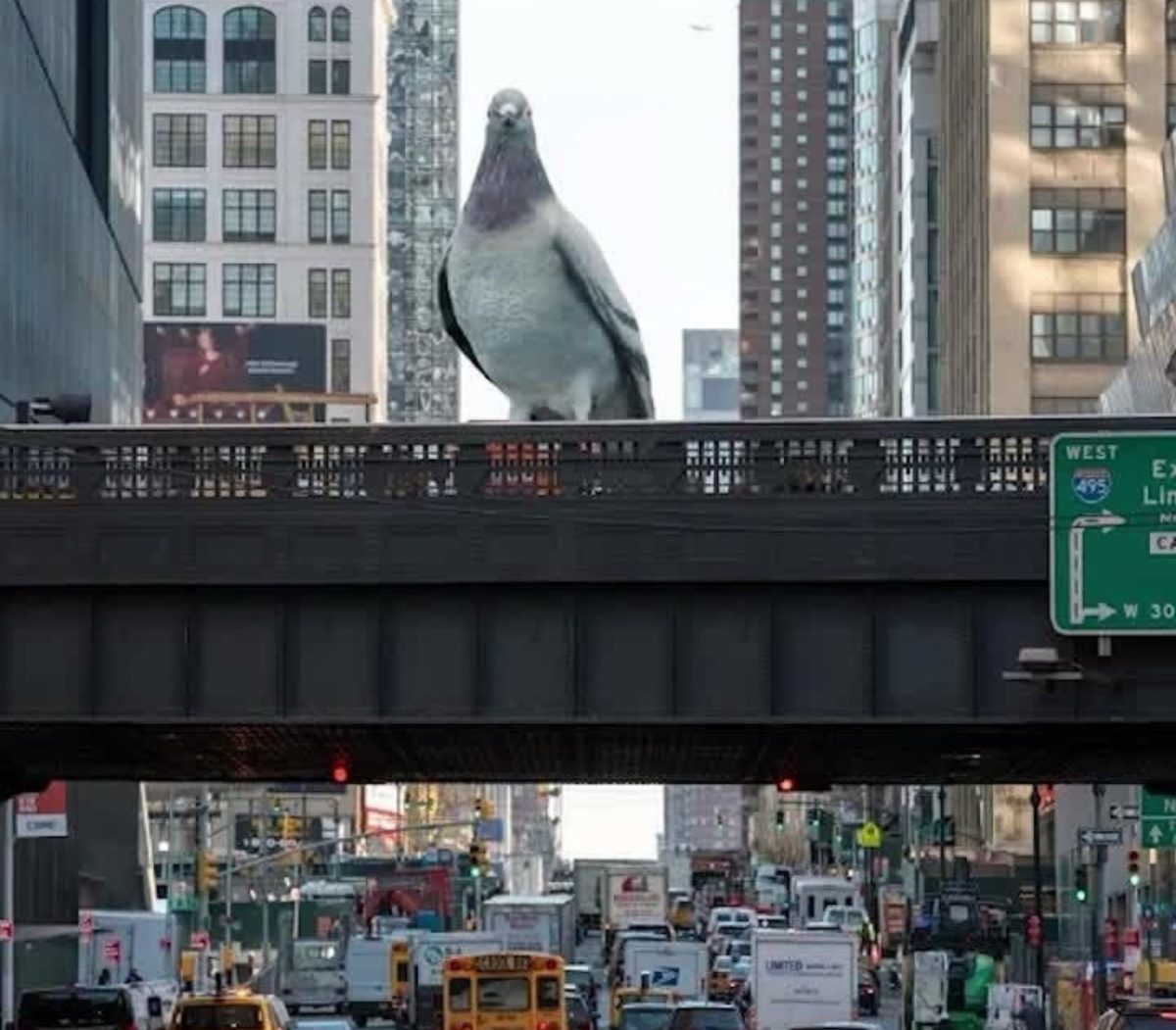 Why the Embodiment of New York City is a Pigeon Statue