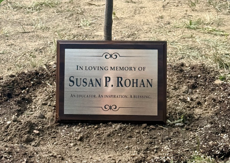 The tree was planted on 58th Street under the window where Mrs. Rohan's office was. Photo by Mrs. Gutterman.