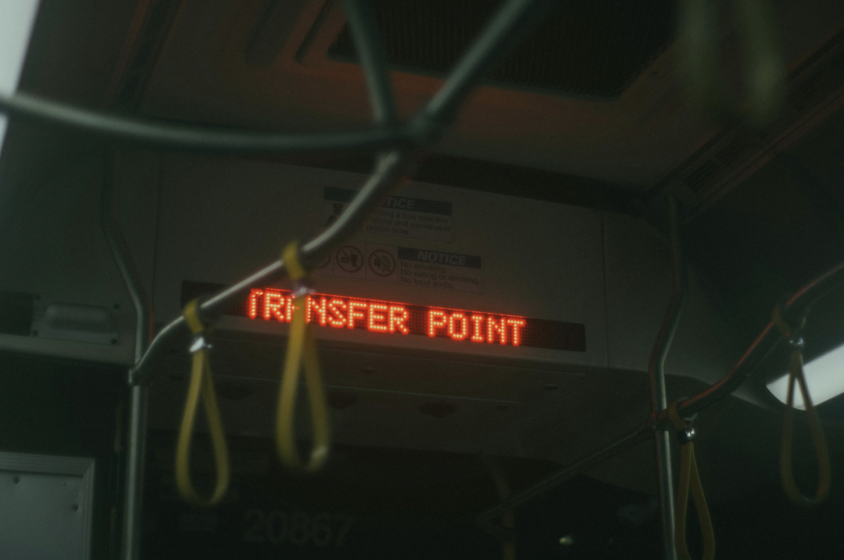 The bus routes have either changed, moved, or some disappeared entirely. Photo by Daniela Sánchez via Pexels.