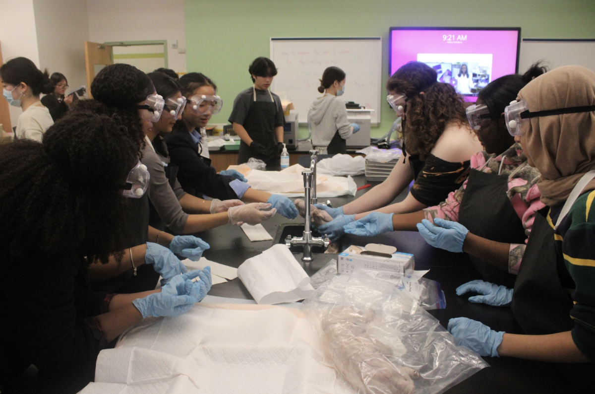 Students maintain a level of professionalism in a real-world setting while conducting these dissections. 