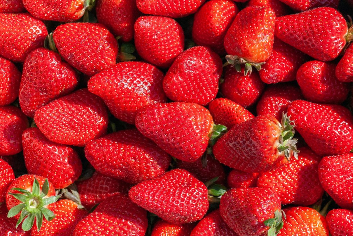 Strawberry sales are starting to suffer after a popular brand recalled their crops. Photo by Natasha Skov via Unsplash.